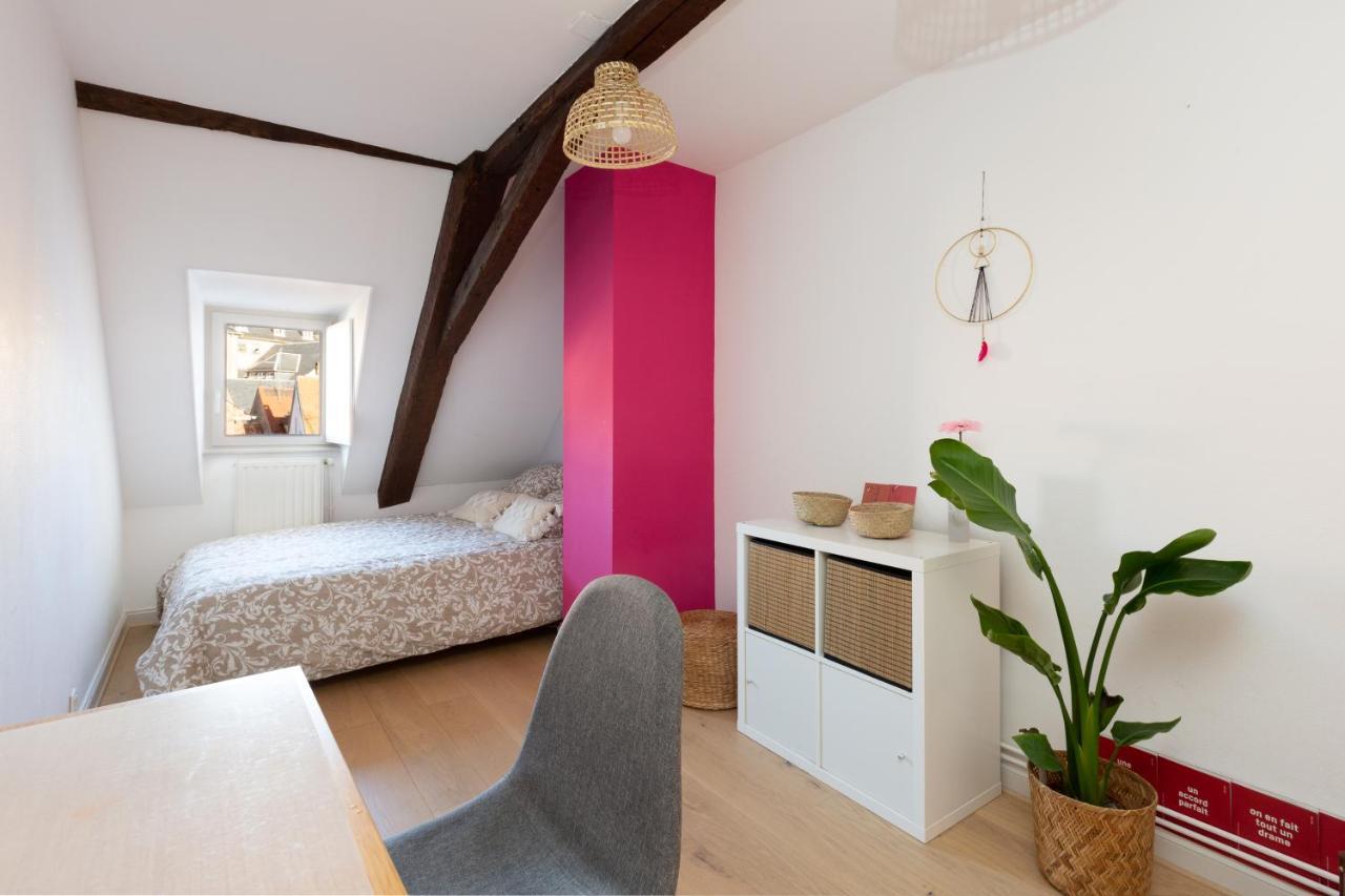 Petite France-Cathedrale, Duplex 100M2- 3 Chambres Strasburgo Esterno foto
